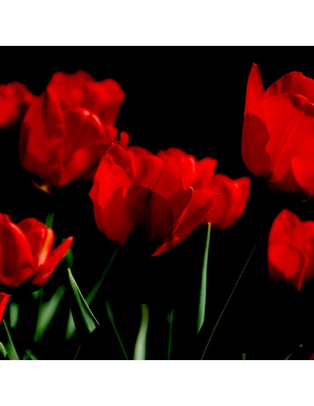 Naszyjnik Flora marki SPARK z czerwonymi kryształami w srebrze 925