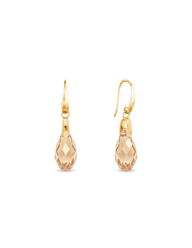 Boucles d'oreilles BRIOLETTE en...